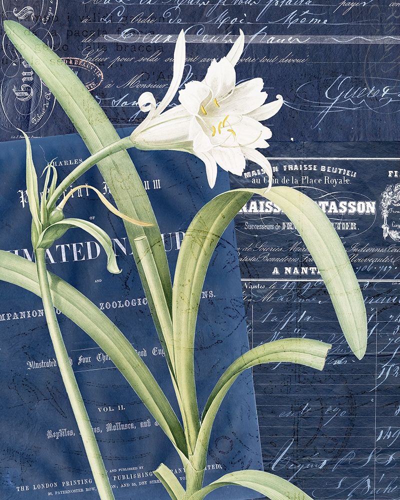 Postcard Vintage Floral 1 art print by Kimberly Allen for $57.95 CAD