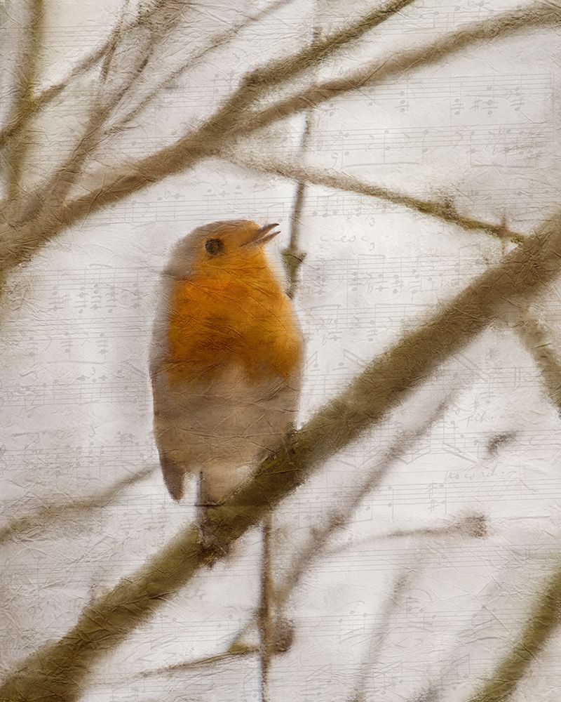 Bird on a Branch 1 art print by Kimberly Allen for $57.95 CAD