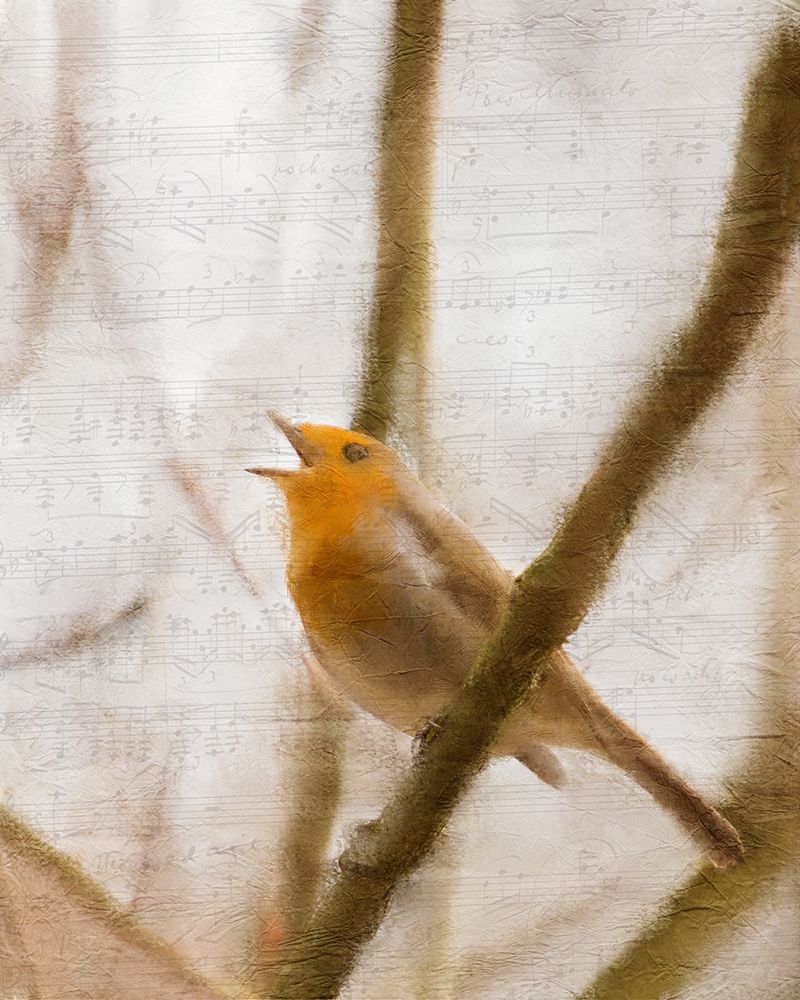 Bird on a Branch 2 art print by Kimberly Allen for $57.95 CAD