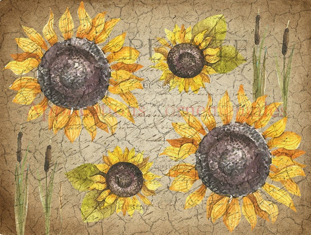 Sunflower Day art print by Kimberly Allen for $57.95 CAD