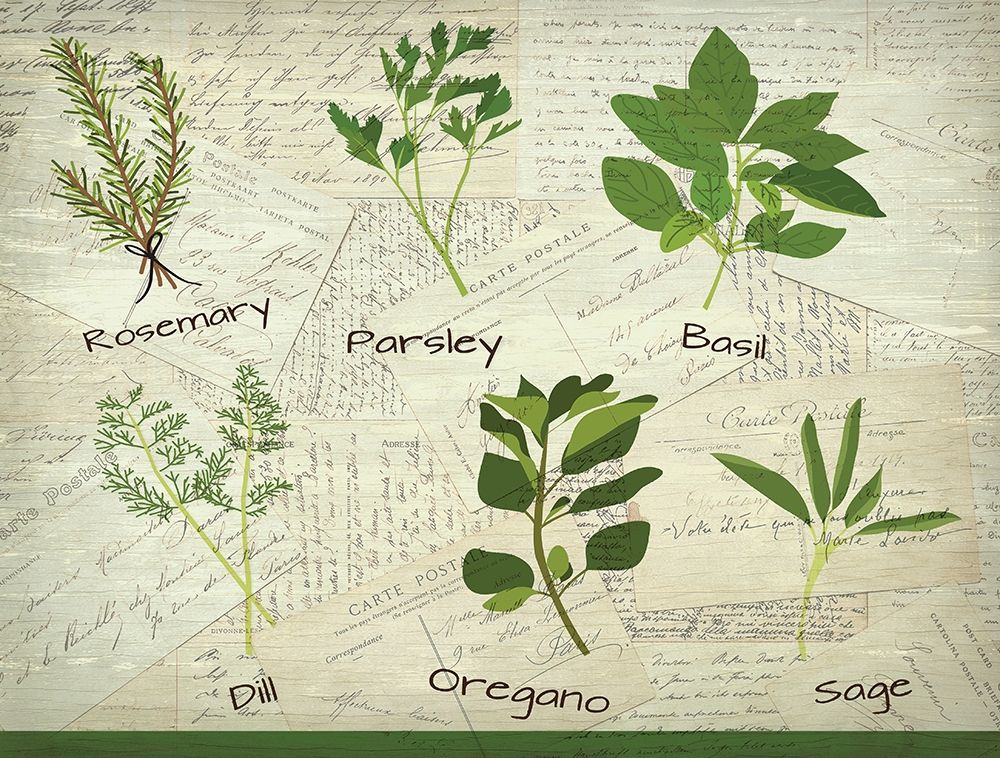 Fresh Herbs art print by Kimberly Allen for $57.95 CAD