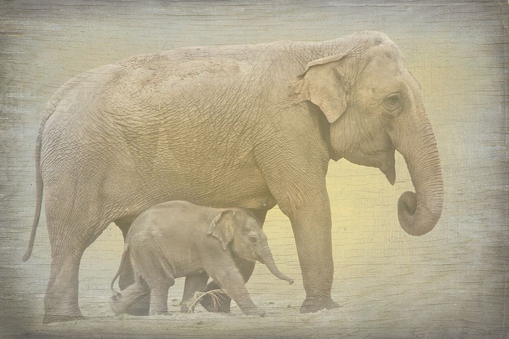 Side by Side art print by Kimberly Allen for $57.95 CAD