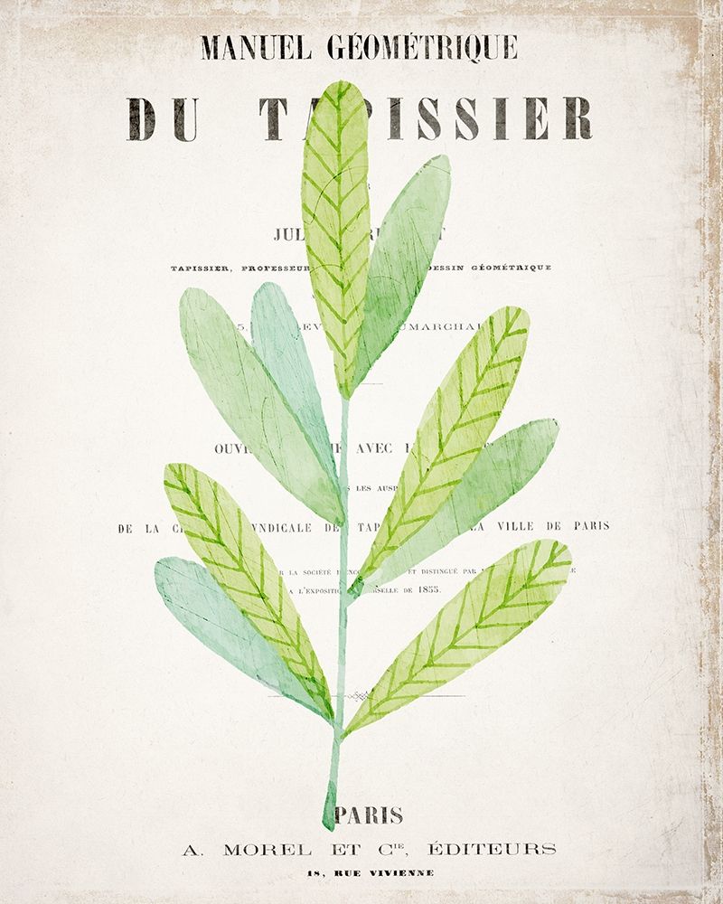 Botanical Pages 3 art print by Kimberly Allen for $57.95 CAD