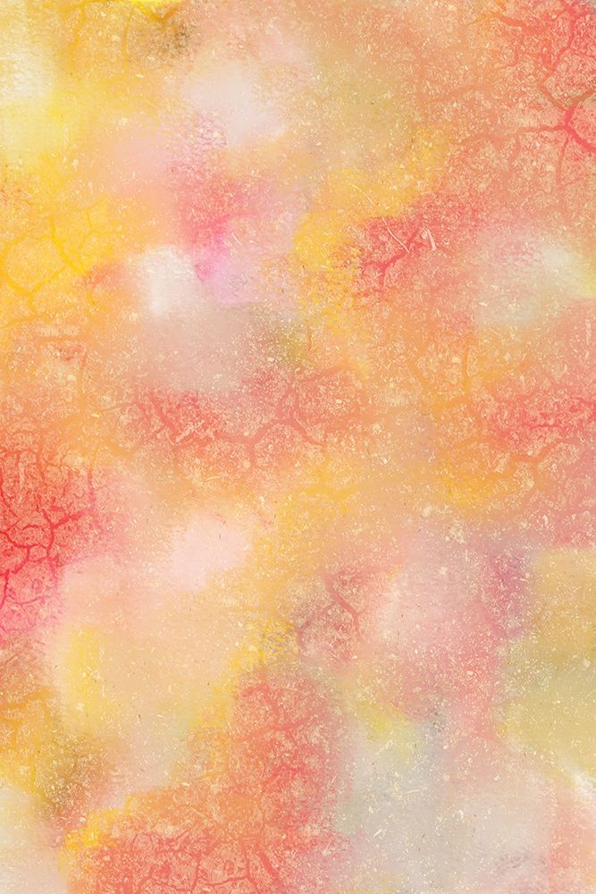 Sunburst of Orange art print by Kimberly Allen for $57.95 CAD
