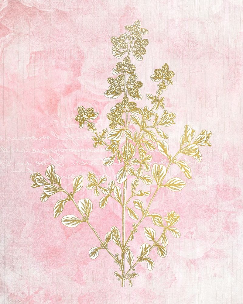 Botanical Pink 2 art print by Kimberly Allen for $57.95 CAD