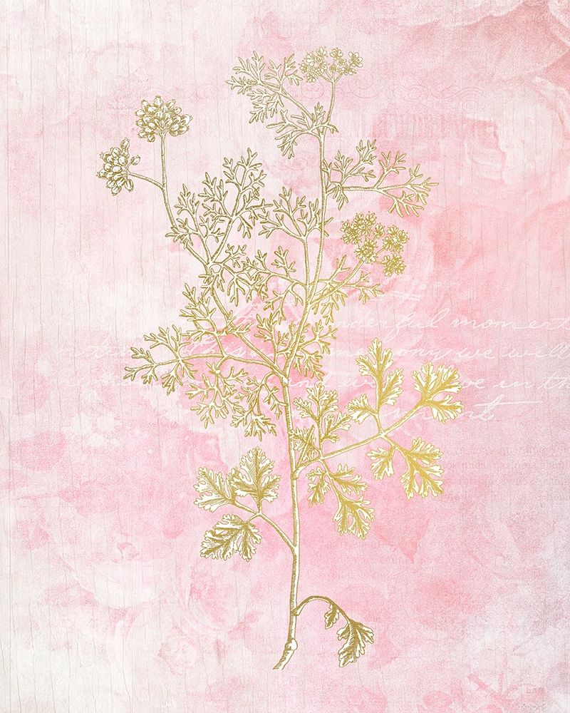 Botanical Pink 3 art print by Kimberly Allen for $57.95 CAD