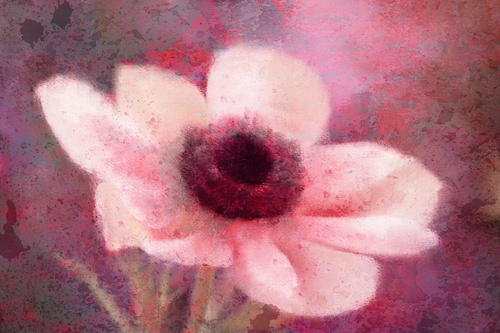 Blooming Pink art print by Kimberly Allen for $57.95 CAD