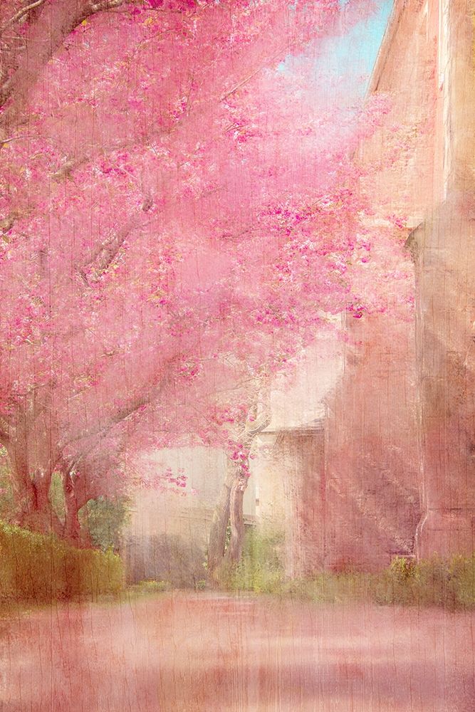 Pink Pathway art print by Kimberly Allen for $57.95 CAD