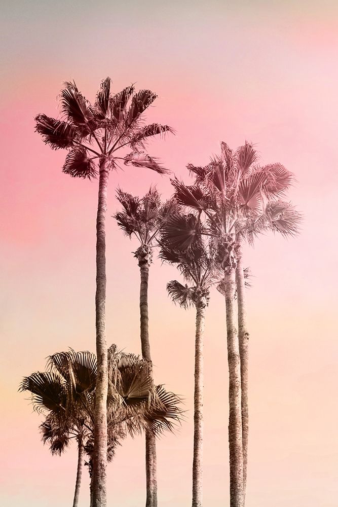 Pink Sunset 1 art print by Kimberly Allen for $57.95 CAD
