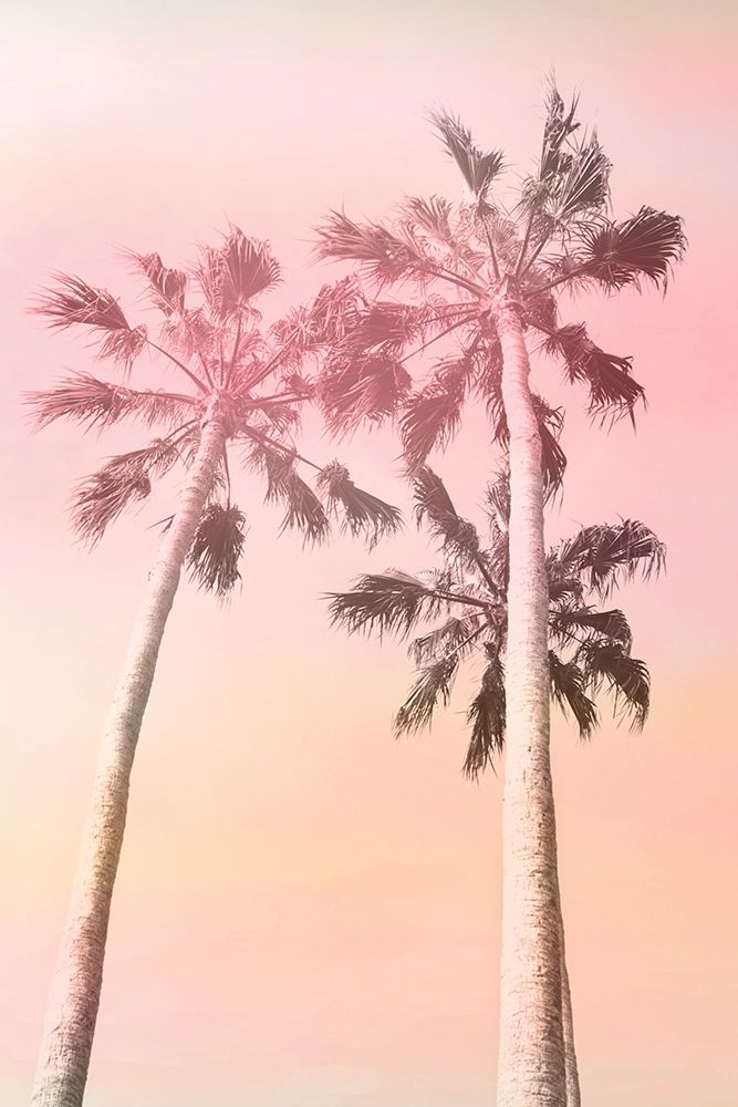Pink Sunset 2 art print by Kimberly Allen for $57.95 CAD