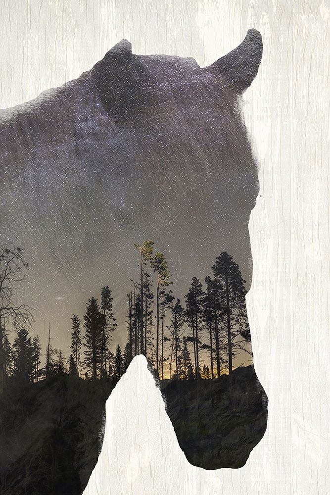 Starry Night Horse art print by Kimberly Allen for $57.95 CAD