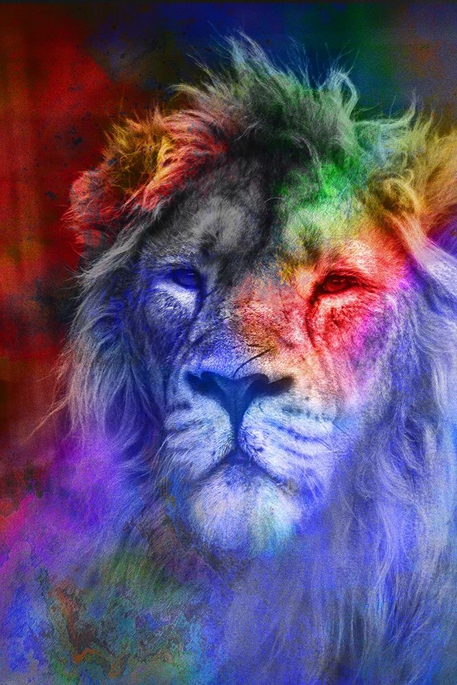 Pride art print by Kimberly Allen for $57.95 CAD