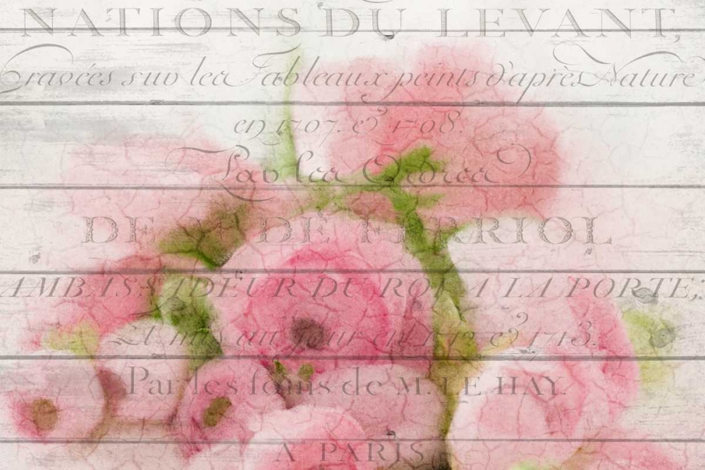 Roses in Paris art print by Kimberly Allen for $57.95 CAD