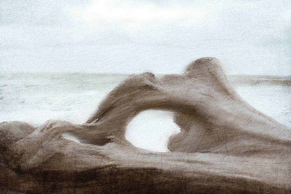 Driftwood Beach art print by Kimberly Allen for $57.95 CAD