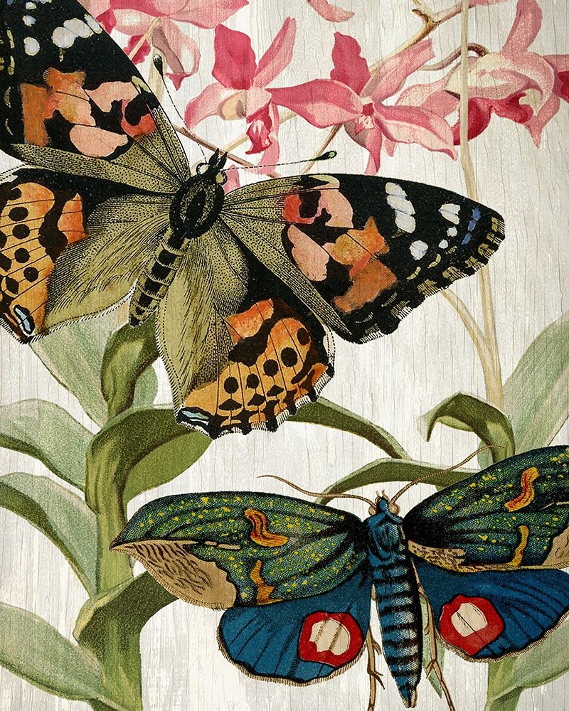 Butterfly World 1 art print by Kimberly Allen for $57.95 CAD