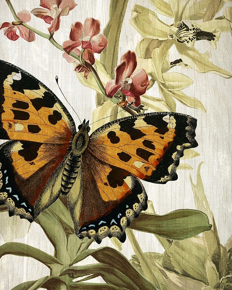Butterfly World 2 art print by Kimberly Allen for $57.95 CAD