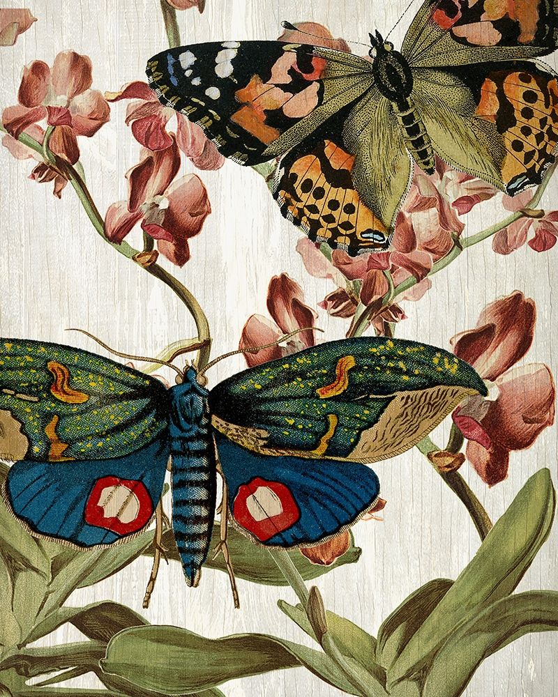 Butterfly World 3 art print by Kimberly Allen for $57.95 CAD