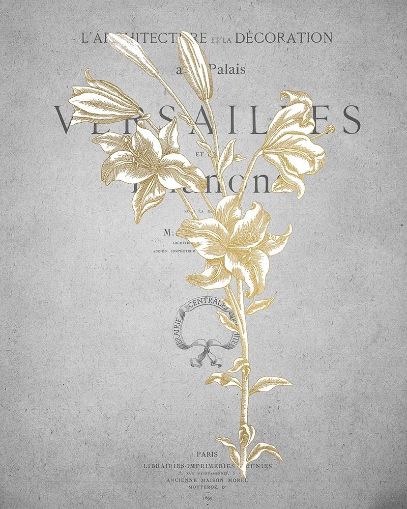 Gold Botanicals 1 art print by Kimberly Allen for $57.95 CAD