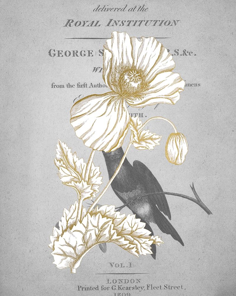 Gold Botanicals 2 art print by Kimberly Allen for $57.95 CAD