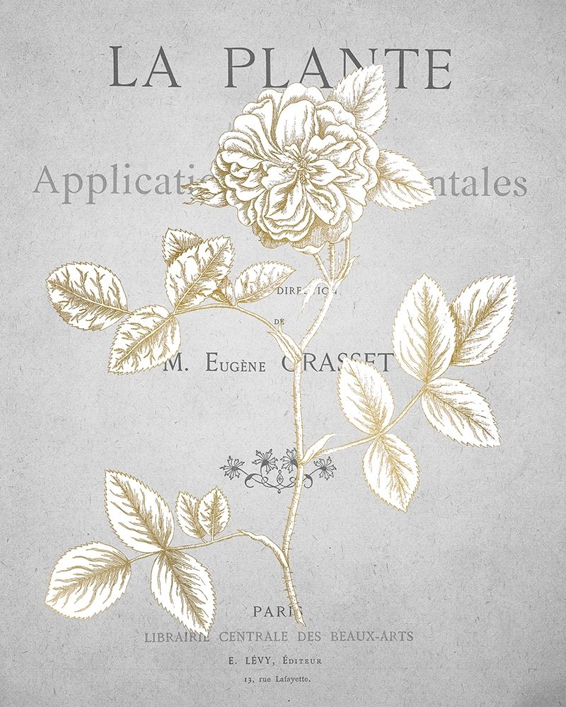 Gold Botanicals 3 art print by Kimberly Allen for $57.95 CAD