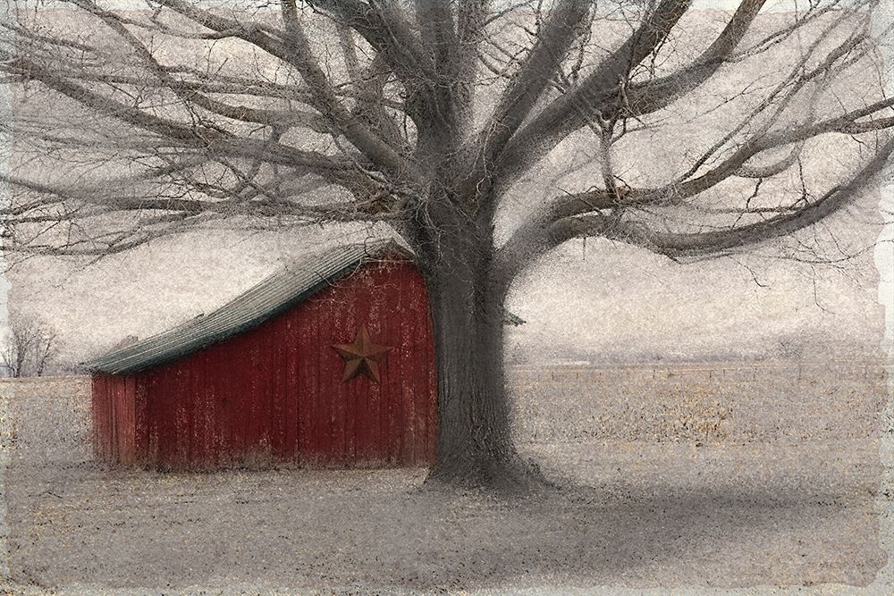 Barnyard Star art print by Kimberly Allen for $57.95 CAD