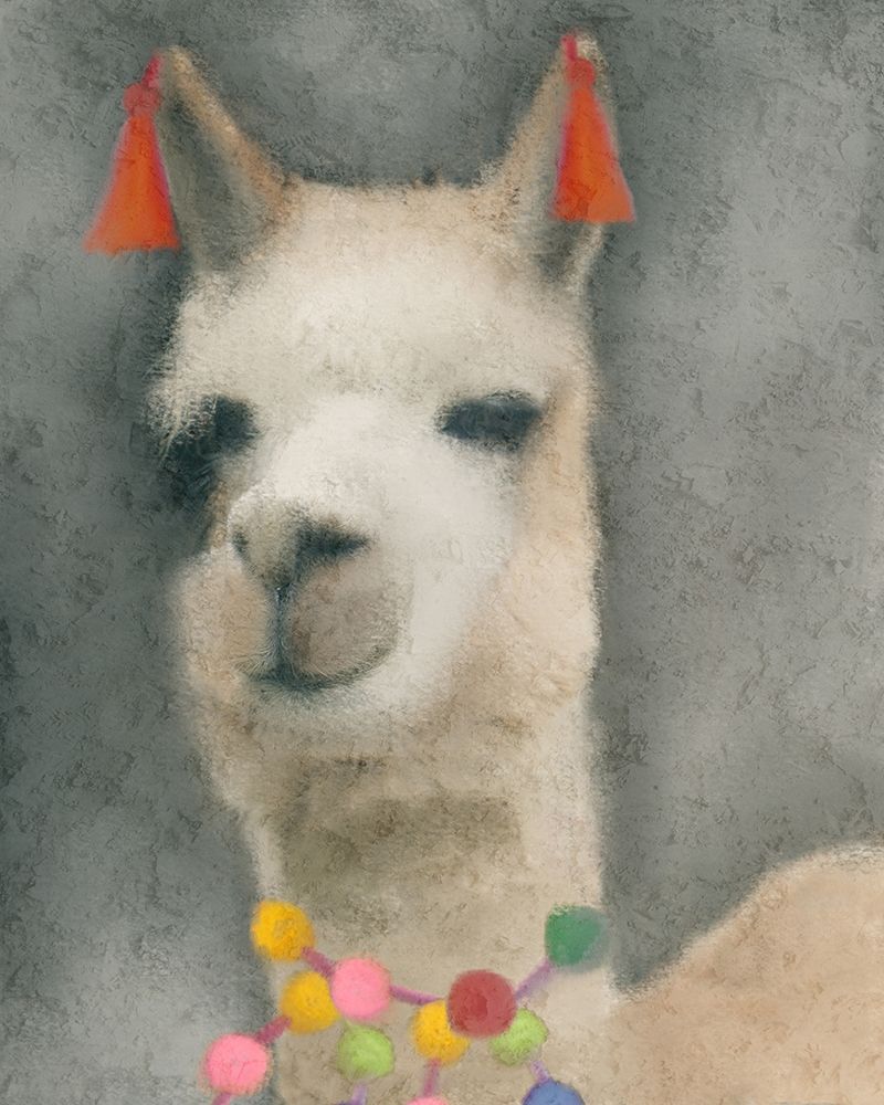 Llama art print by Kimberly Allen for $57.95 CAD