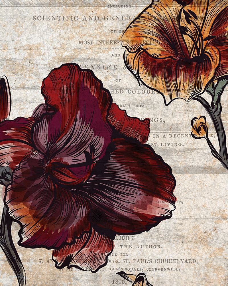 Brilliant Blooms 1 art print by Kimberly Allen for $57.95 CAD