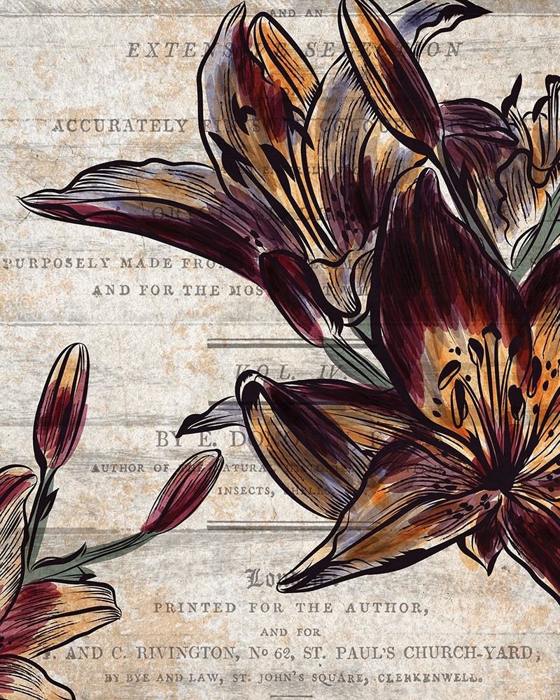Brilliant Blooms 2 art print by Kimberly Allen for $57.95 CAD
