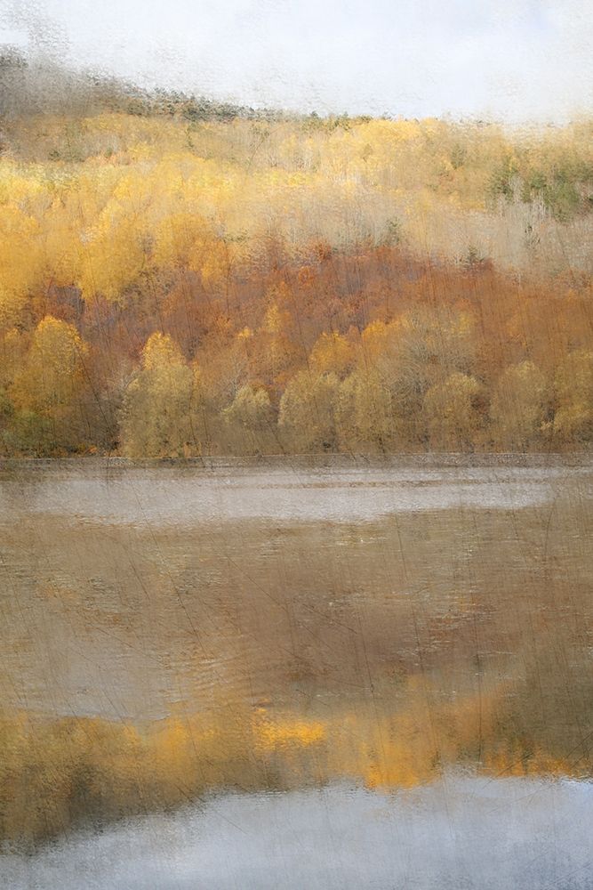 Quiet Pond art print by Kimberly Allen for $57.95 CAD