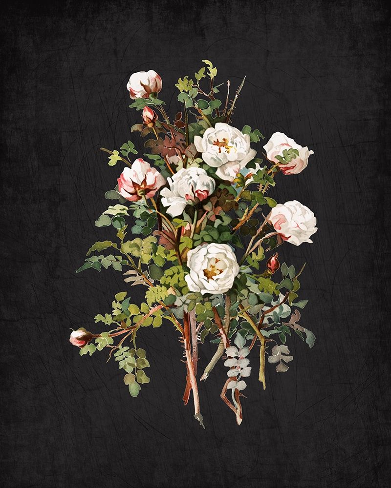 Roses on Black 2 art print by Kimberly Allen for $57.95 CAD
