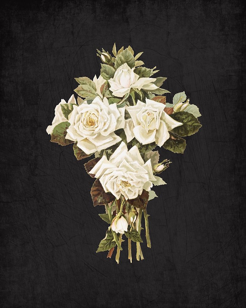 Roses on Black 3 art print by Kimberly Allen for $57.95 CAD