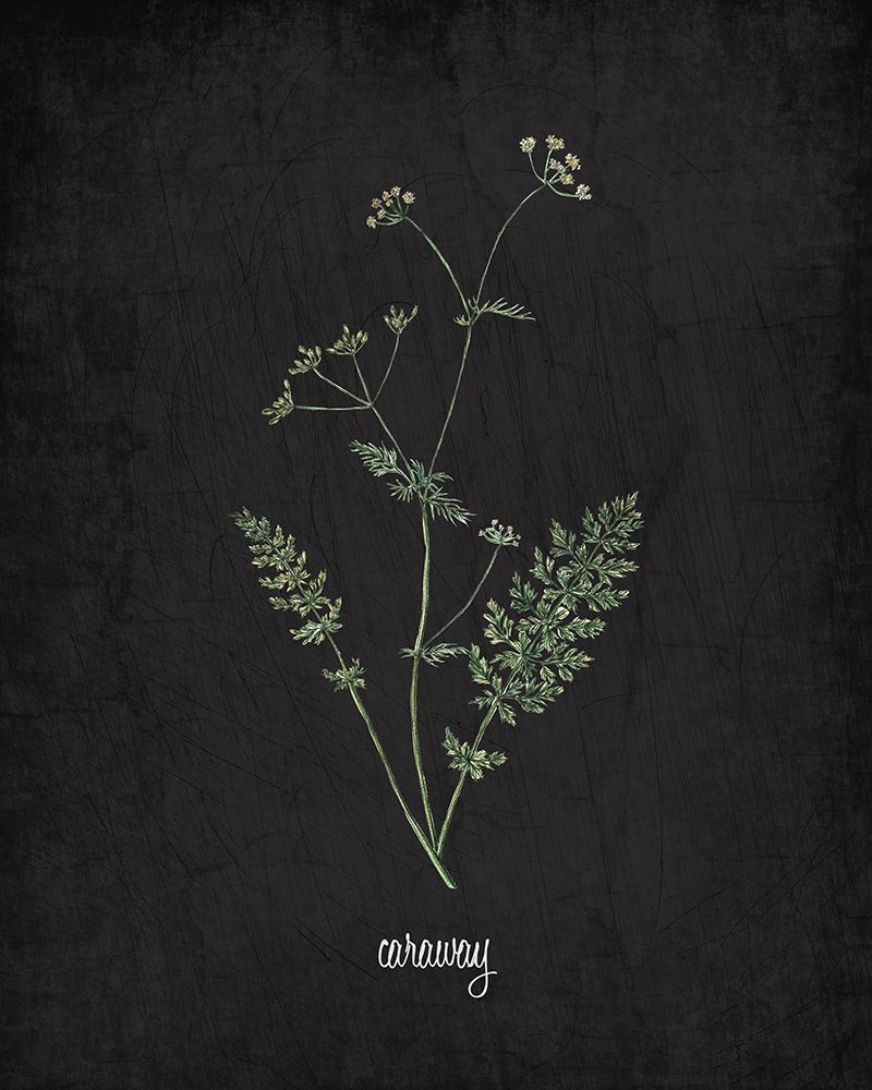Caraway art print by Kimberly Allen for $57.95 CAD