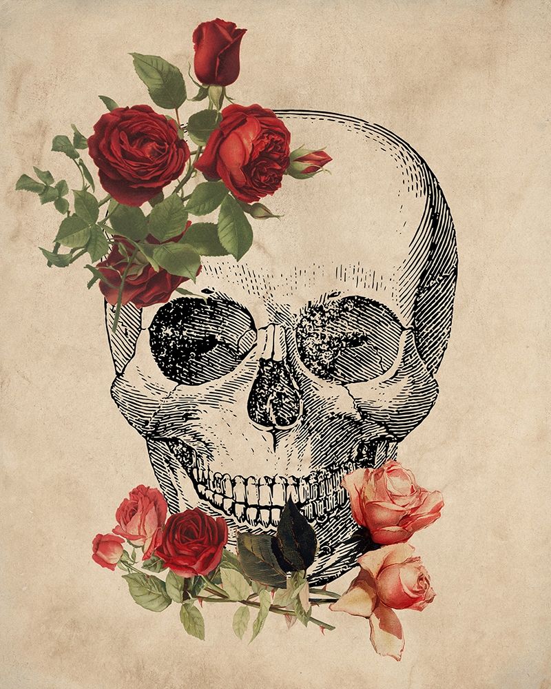 Skull Roses art print by Kimberly Allen for $57.95 CAD