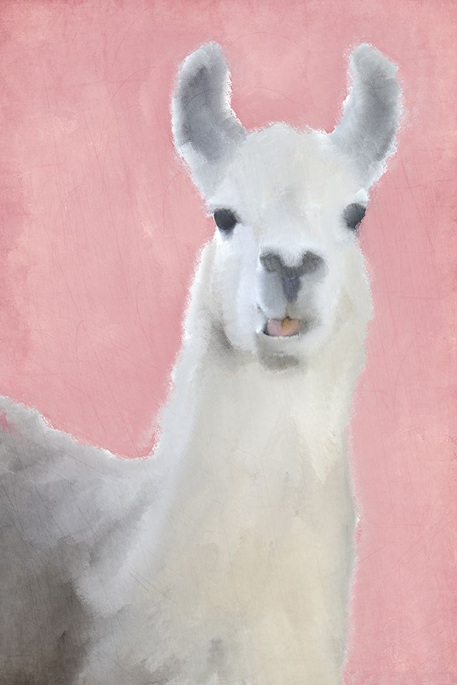 Llama on Pink art print by Kimberly Allen for $57.95 CAD
