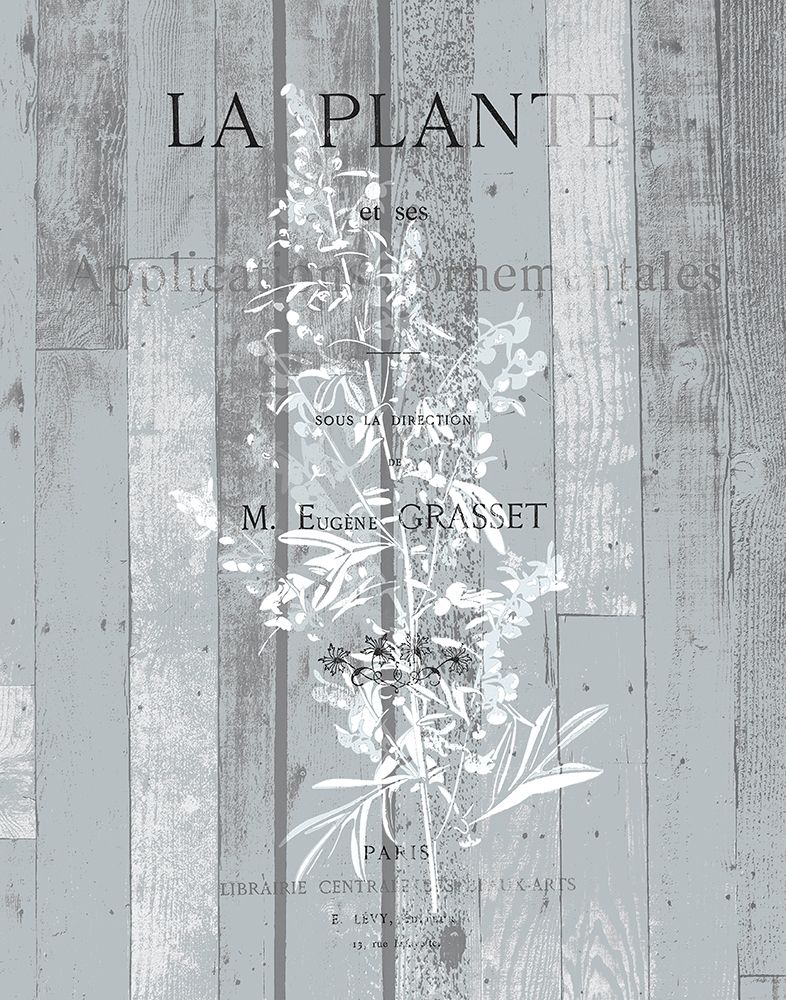 La Plante 1 art print by Kimberly Allen for $57.95 CAD
