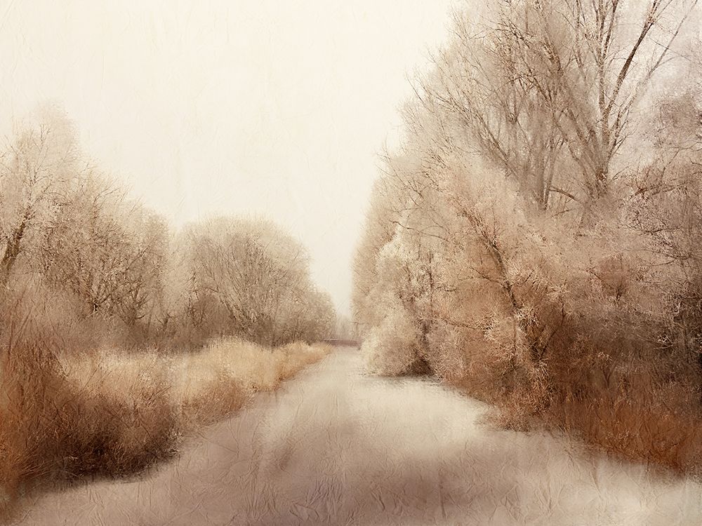 Taupe Sunset art print by Kimberly Allen for $57.95 CAD