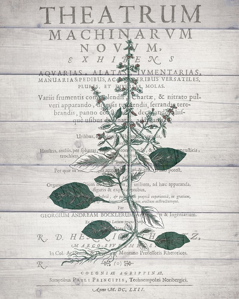 Botanical B v2 art print by Kimberly Allen for $57.95 CAD