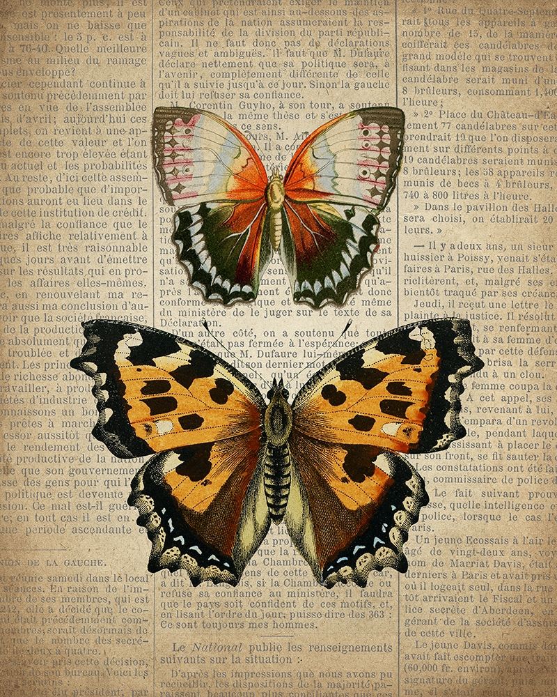Newspaper Butterfly 3 art print by Kimberly Allen for $57.95 CAD