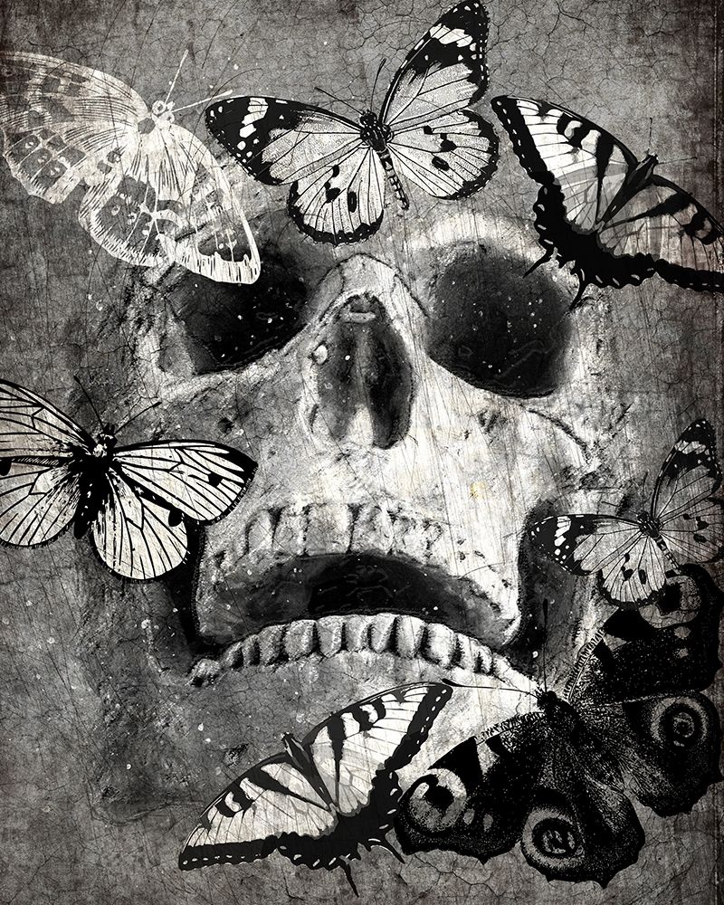 Butterfly Skull art print by Kimberly Allen for $57.95 CAD