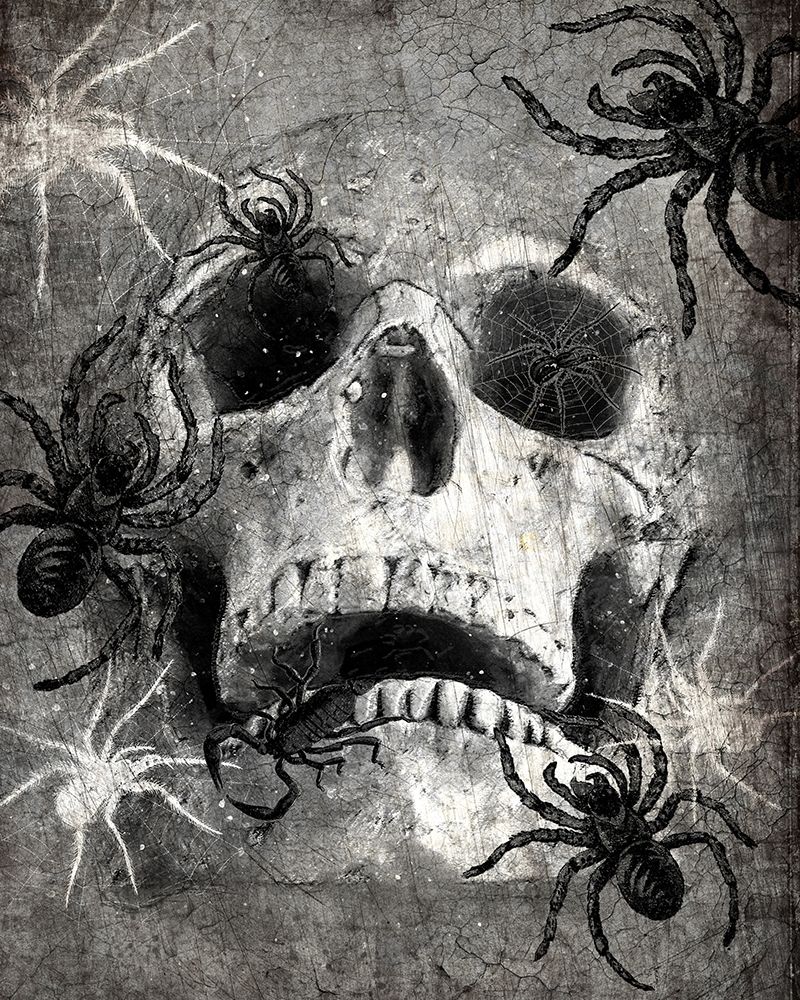 Spider  Skull art print by Kimberly Allen for $57.95 CAD