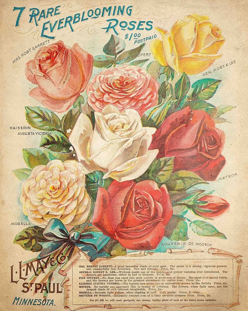 Everblooming Roses art print by Kimberly Allen for $57.95 CAD