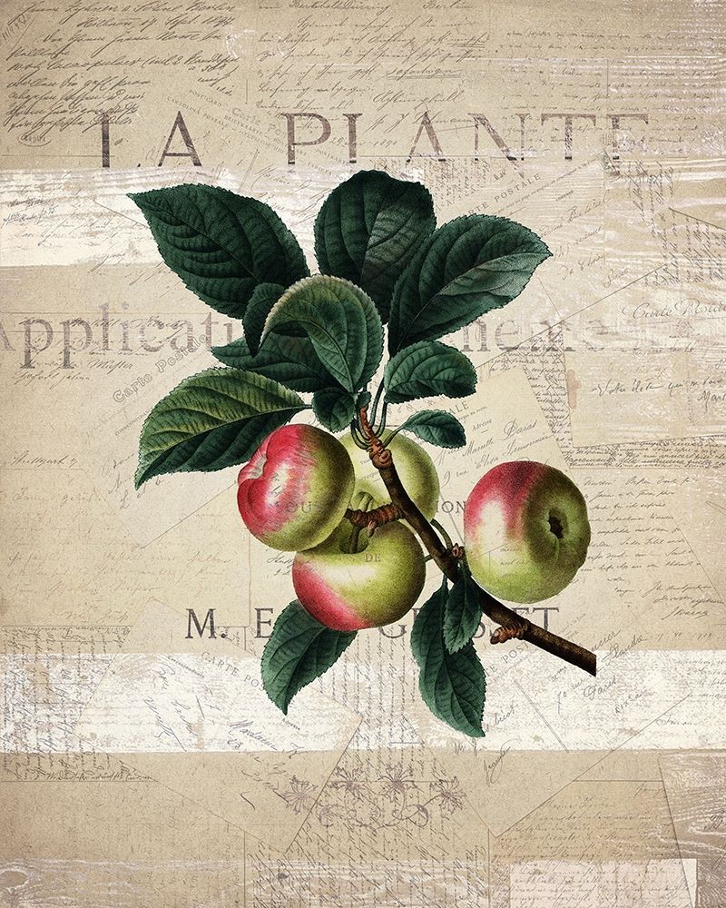 Fruit 1 art print by Kimberly Allen for $57.95 CAD