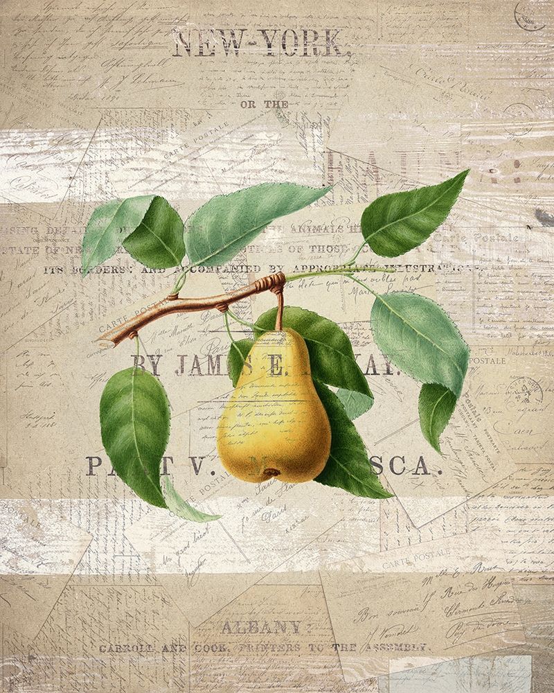 Fruit 2 art print by Kimberly Allen for $57.95 CAD