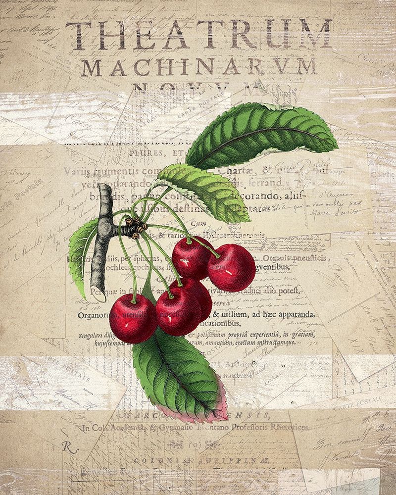 Fruit 3 art print by Kimberly Allen for $57.95 CAD