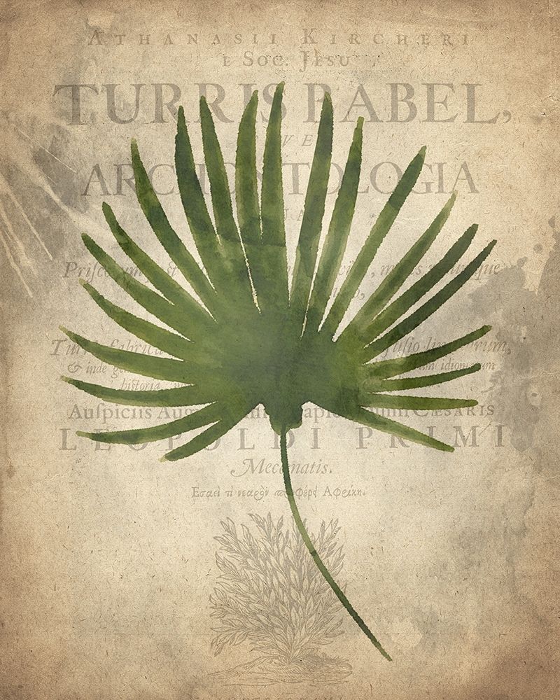 Palms C art print by Kimberly Allen for $57.95 CAD