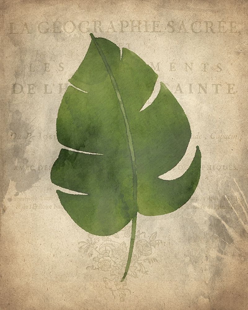 Palms D art print by Kimberly Allen for $57.95 CAD