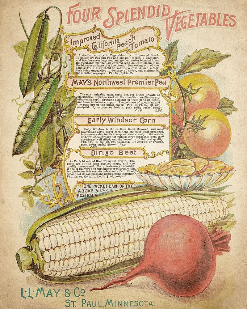 Splendid Vegetables art print by Kimberly Allen for $57.95 CAD