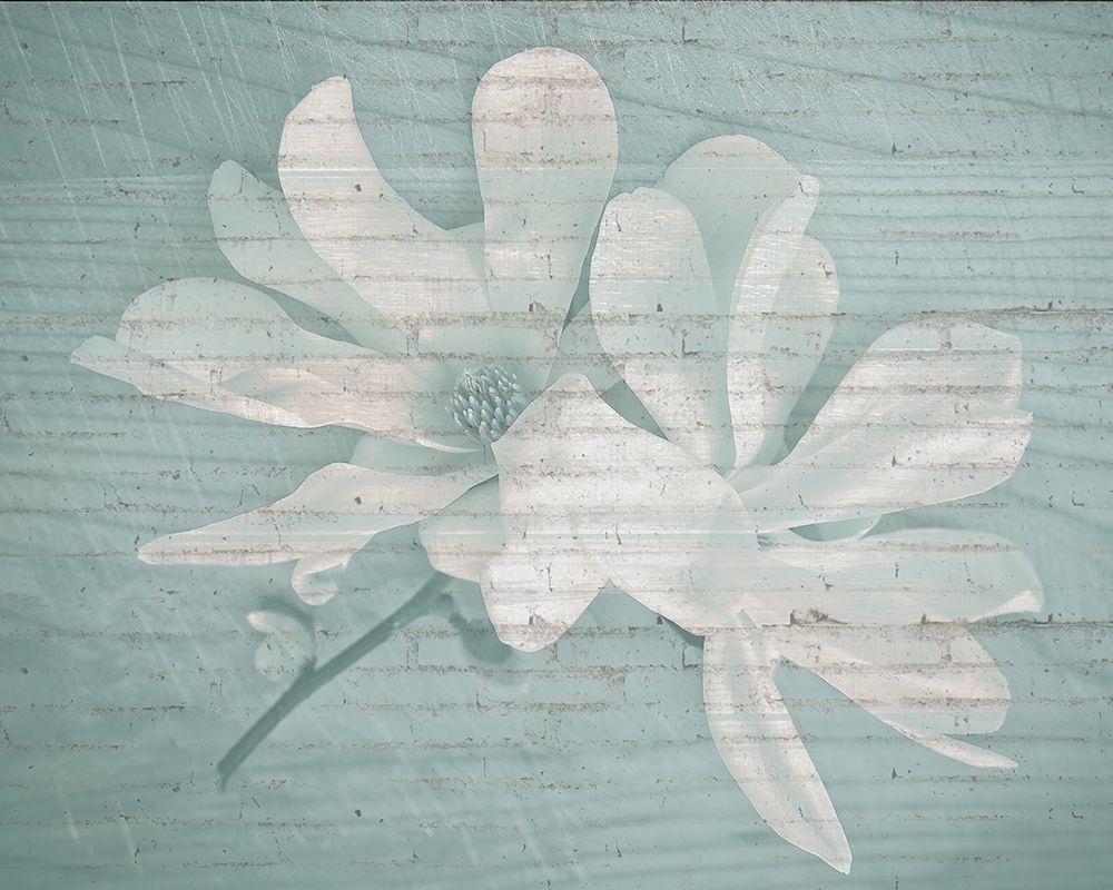 County Bloom art print by Kimberly Allen for $57.95 CAD