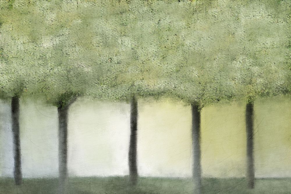 Grove of Trees art print by Kimberly Allen for $57.95 CAD
