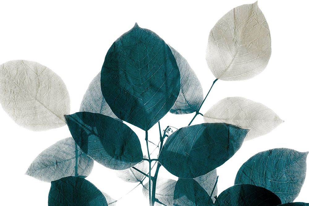 Midnight Leaves 1 art print by Kimberly Allen for $57.95 CAD